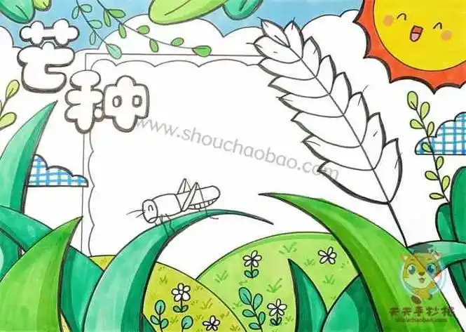 二十四节气芒种手抄报怎么画,24节气芒种手抄报简单又漂亮模板 - 元