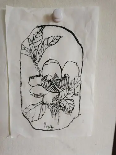 小朋友白描习作