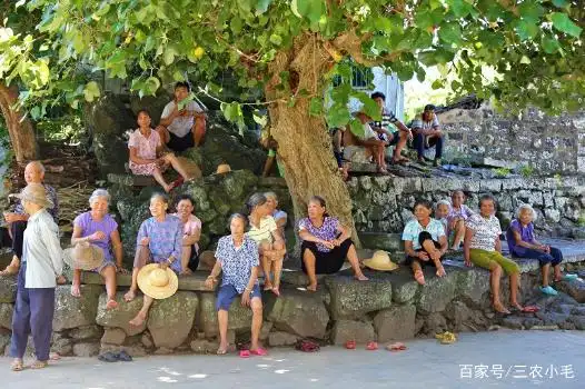 以前农村没有蚊香,大夏天乘凉时如何防蚊?"土方法"比蚊香管用