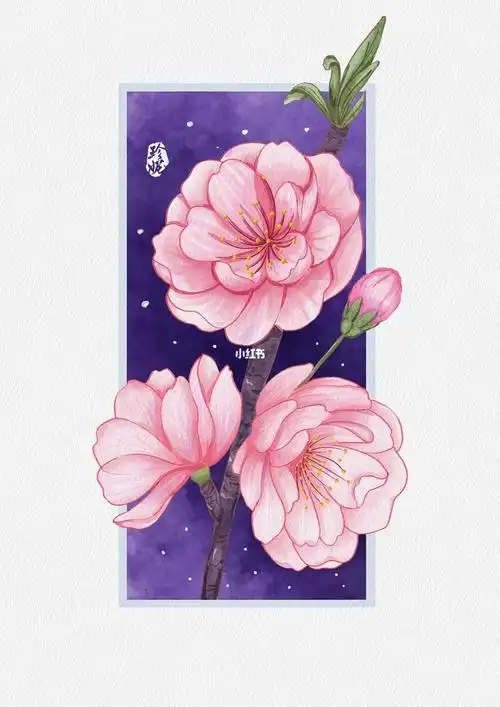 ipad画画植物樱花