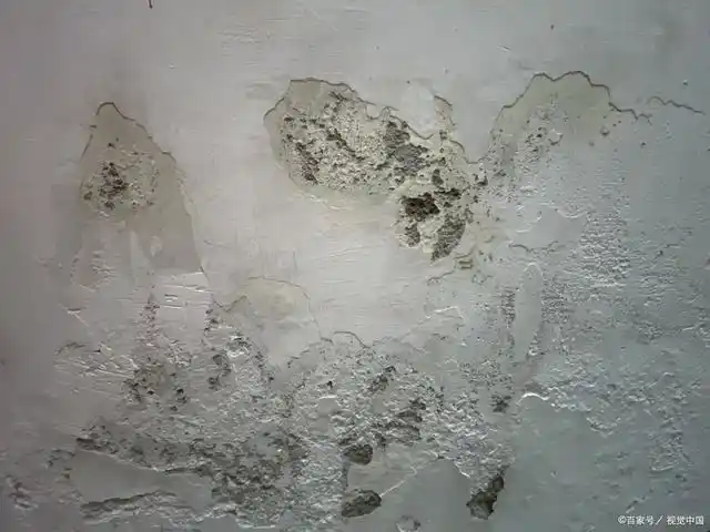 家里的墙面发霉很难看?学会这些方法,就能轻松解决问题!