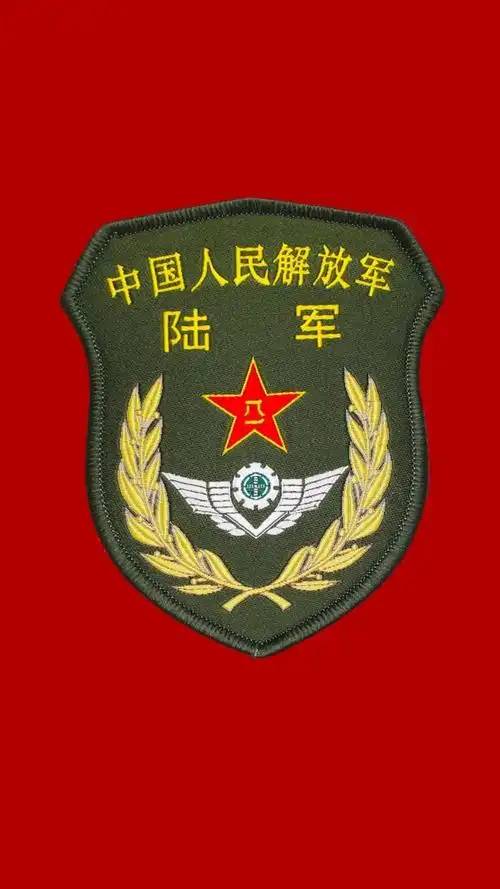 13公开亮相!21式作业服胸标臂章来了!