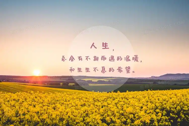 生活语录文字图片