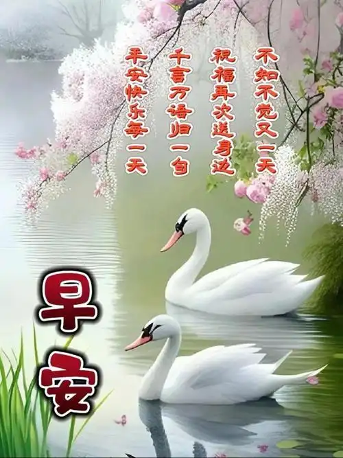 2024年1月13日最新早安问候图片大全今天早安祝福语温馨问候语