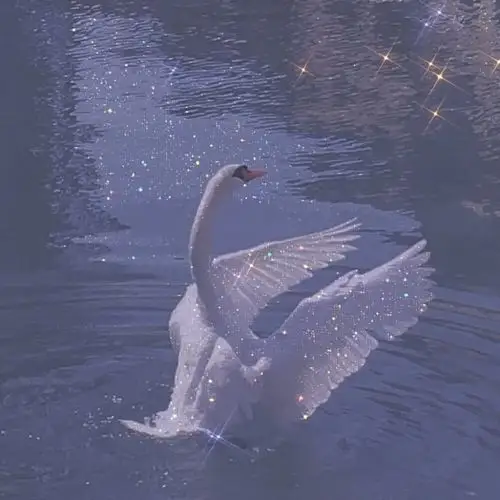 blingbling 朋友圈背景图 闪钻马卡龙 超静谧仙气的天鹅