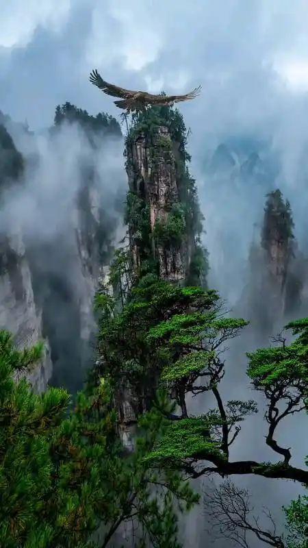 大自然美景#我想一定是仙界某个仙人一不小心打翻了一盘大盆栽,盆栽