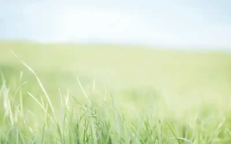 小清新美好意境风景图片桌面壁纸