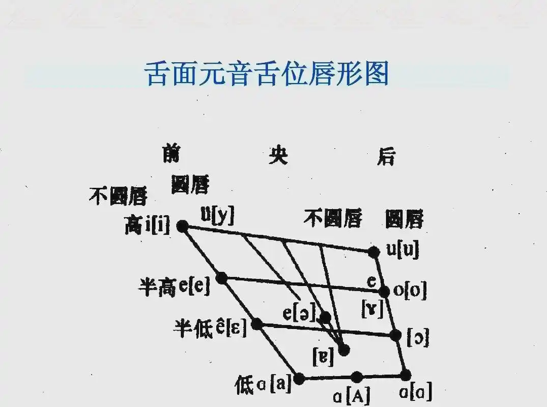 解析舌面元音舌位图与发音技巧的练习方法