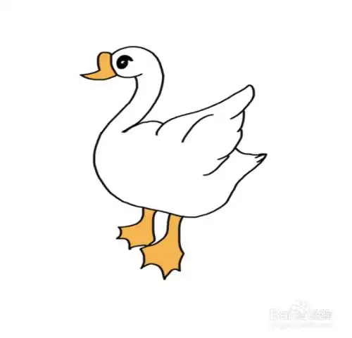 大白鹅的简笔画怎么画-百度经验