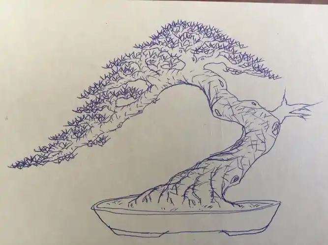 我的手绘盆景图