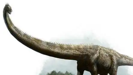 地球史上最大的恐龙,易碎双腔龙(长达50米重100吨)