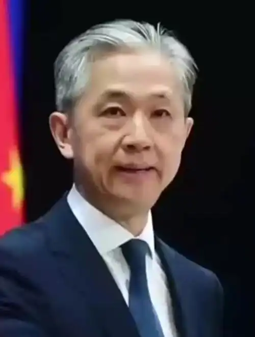 中国外交官汪文斌一生还未过半却已满头白发