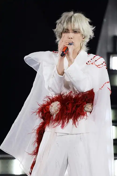 华晨宇白发妆造