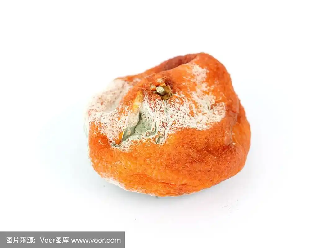 腐烂的橙色柑橘