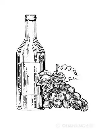 酒瓶_葡萄_雕刻_风格_葡萄酒_矢量_插画_刮蹭_图像_图片大全