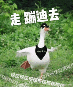 走蹦迪去 - 斗图表情包 - 斗图神器 - adoutu.com