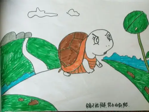 绘本故事《龟兔赛跑》