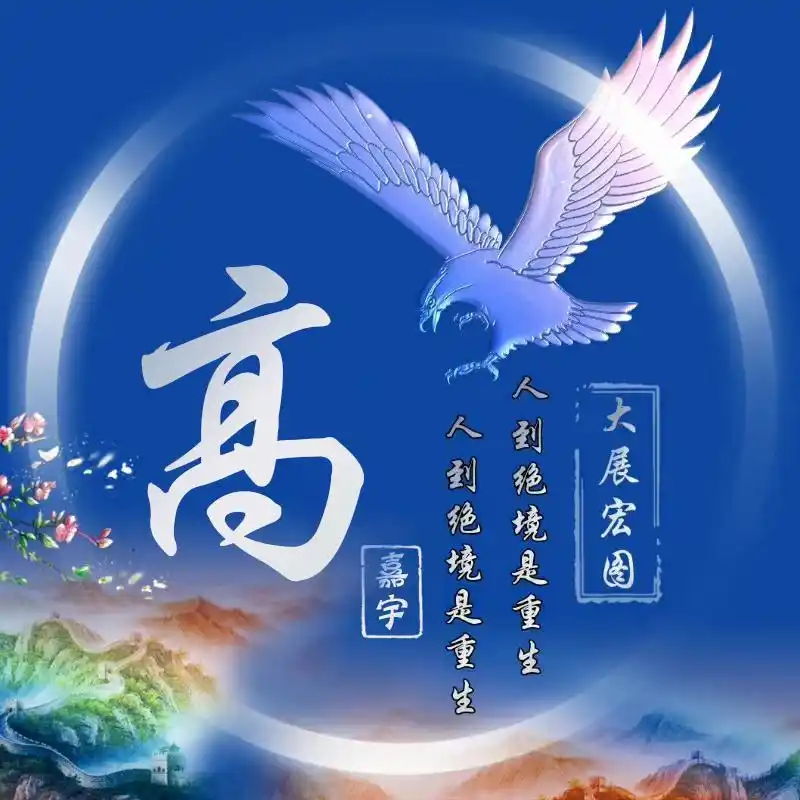 23张海蓝色大鹏展翅姓氏微信头像精致签名头像喜欢带走换上吧