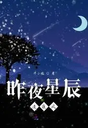 昨夜星辰淡夜风