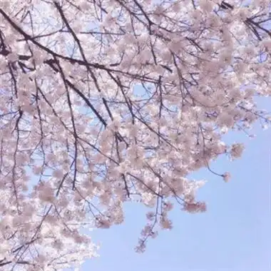 抖音图片最火头像风景(精选34张)