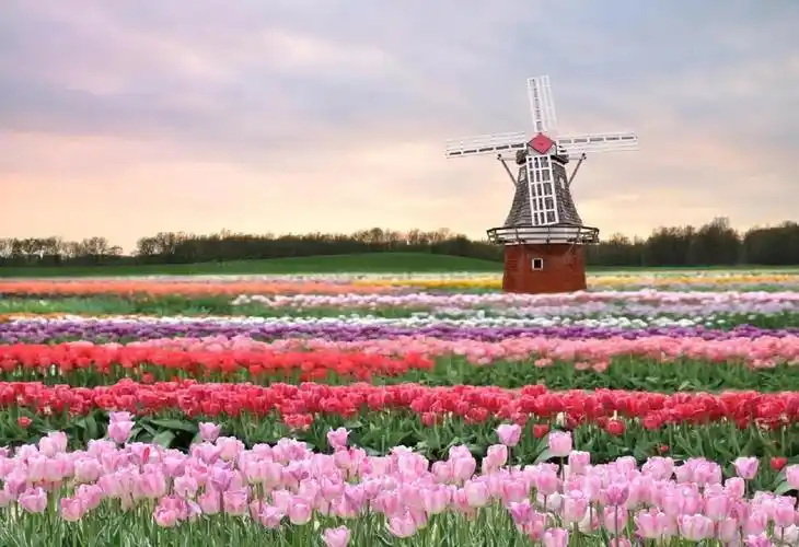 看中了花海名邸的房子,大家觉得怎样?