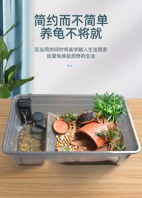 蒂乐森乌龟生态缸大型家用黄缘龟专用饲养箱水陆两栖半水龟造景摆件