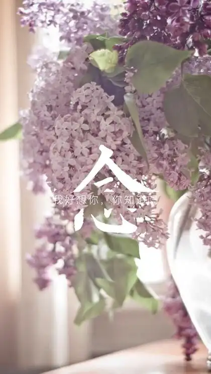 唯美伤感字中字图片iphone6plus手机壁纸