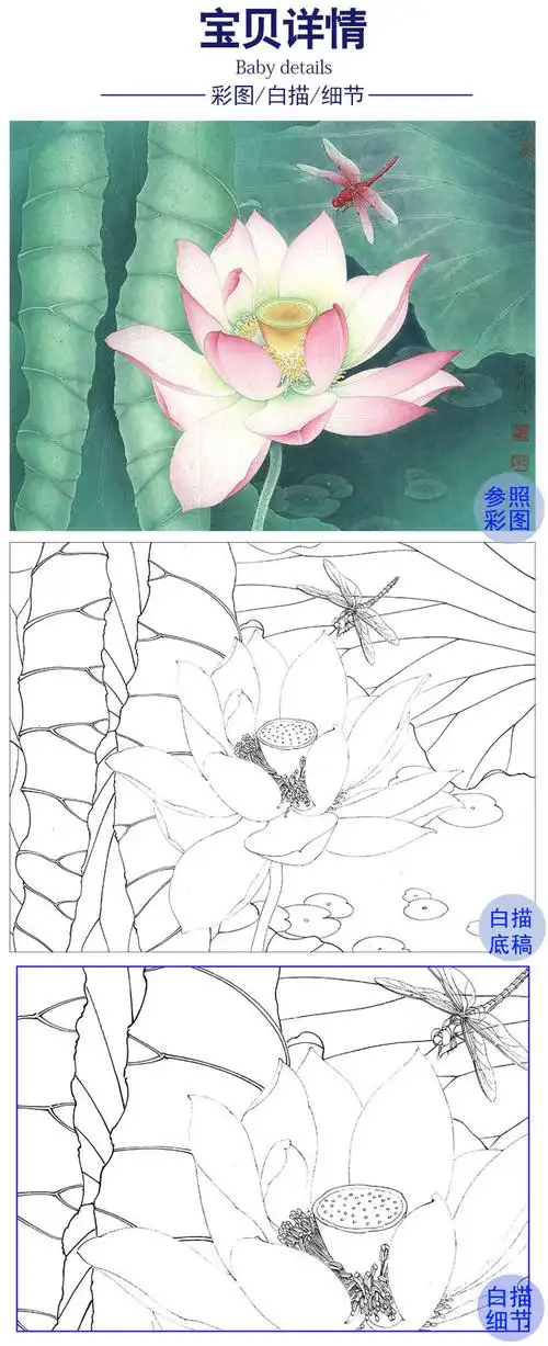 李晓明工笔荷花白描底稿-荷花蜻蜓-k085