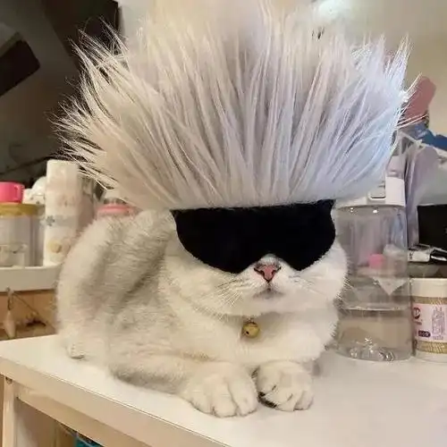 沙雕头像您要的搞笑头像请注意查收vol356