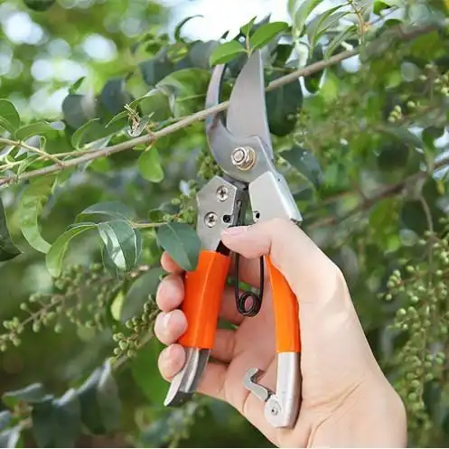 修剪花草树木,用这国产"钛钢剪",轻松省力还不贵