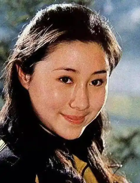 "牧羊女"丁岚的悲哀:自毁前程弃国籍,59岁无儿无女,她后悔吗_李连杰