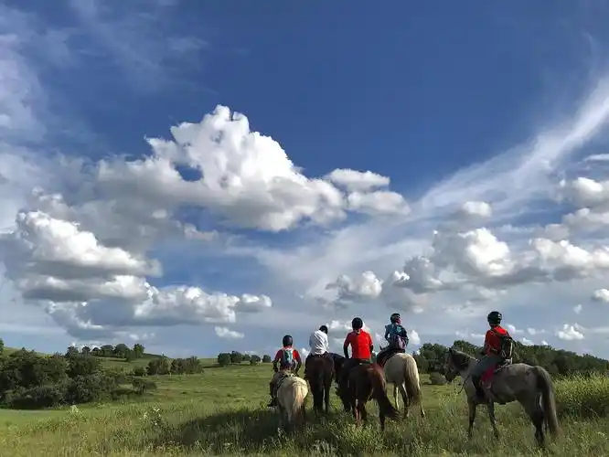 夏天到了,骑马季开始,北京组织起来吧