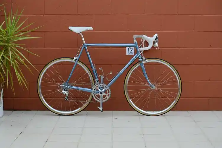 llewellyn custom bicycles - columbus max road bike