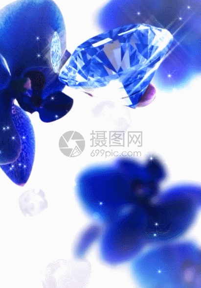兰花和钻石蓝色h5动态背景素材