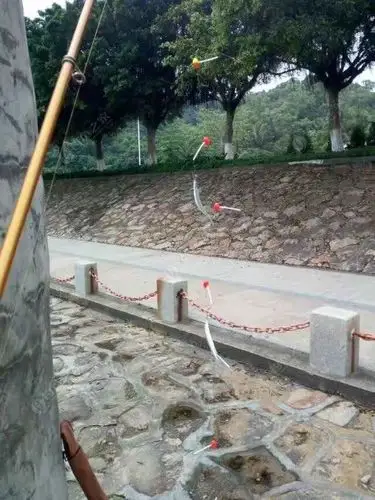 针鱼水针鱼鹤针鱼钓鱼钓组