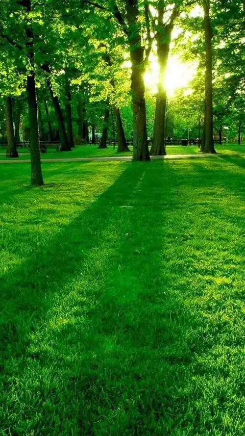 /storage/0000-0000/news_article/0d61a53