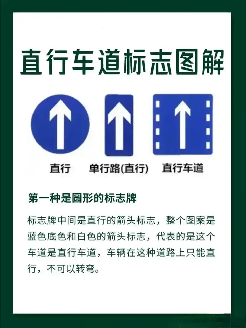 直行车道标志图解#汽车知识分享 #提高安全意识 #知识科普仅 - 抖音