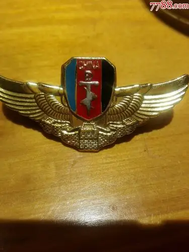 早期空军胸章【极少见】