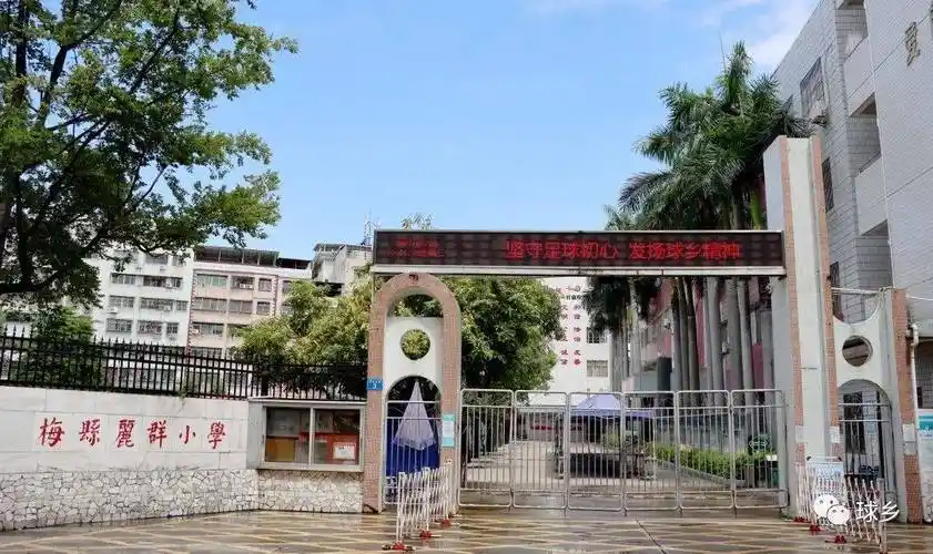 "满天星"丨梅县区丽群小学子营夏训营开营_足球_校园_梅州市