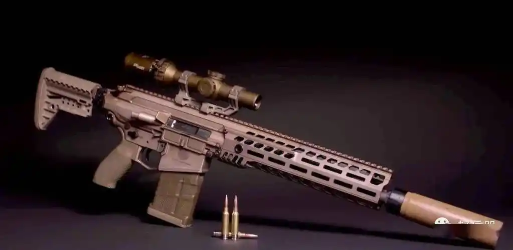 西格-绍尔公司枪弹系统"四剑客"_mm_项目_步枪