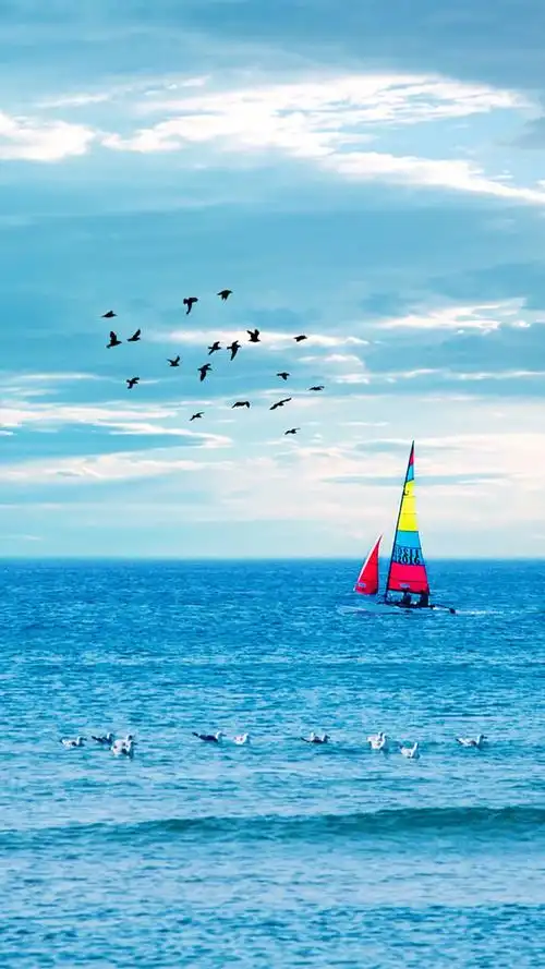 书架 图标 套图 主题壁纸