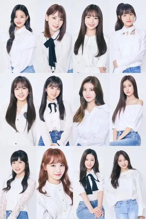 izone集齐全员简历照队内成员关系认证小樱花彩燕最动人