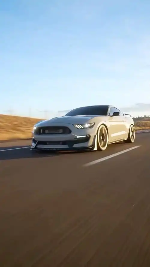 你喜欢这一代福特野马吗?