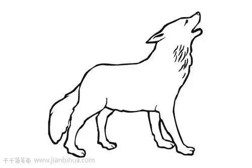 狼简笔画狼头像简笔画图片狼卡通头像简笔画狼的画法简笔画图片小狼崽