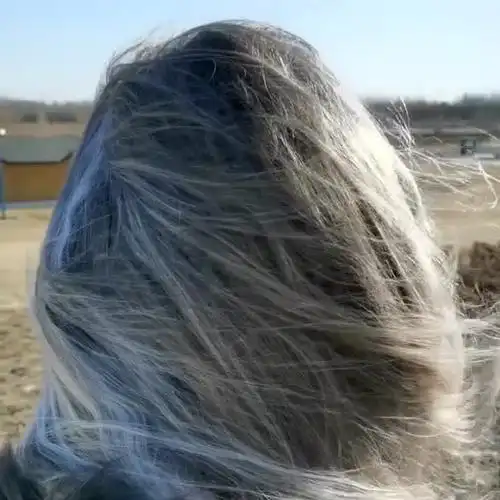 微风吹乱了我的头发,一股凄凉不言而喻,这局面我好像在哪见过?