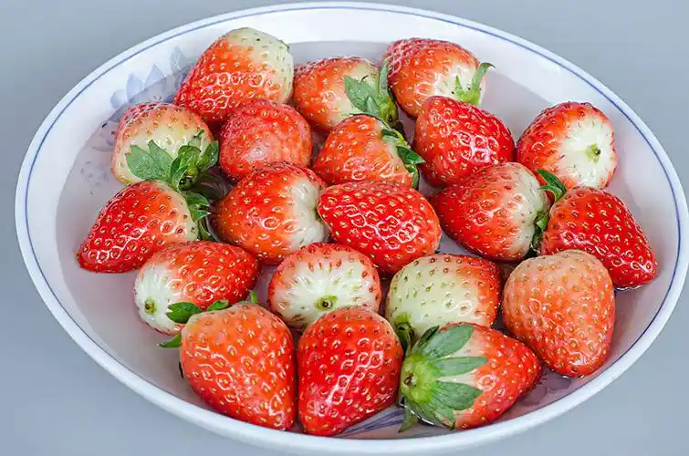 一盘草莓