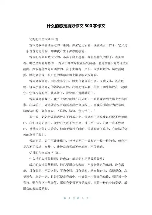 什么的感觉真好作文500字作文