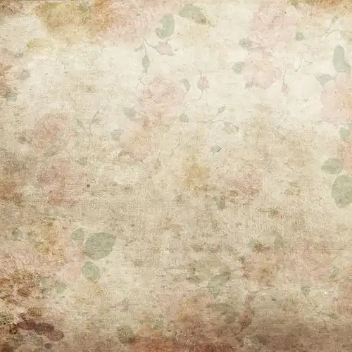 复古背景 复古 欧美复古 欧美复古背景 复古底纹 底纹 复古纹理 纹理