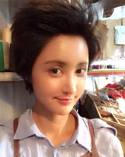 张歆艺发型百变 花轮头锅盖头吸睛