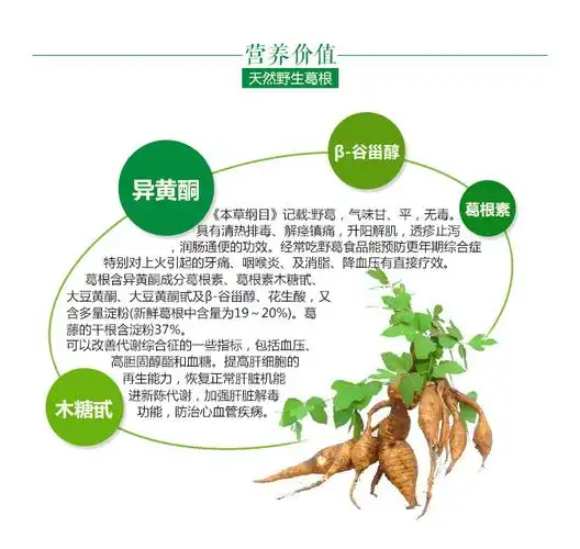 抚州斌泉 葛根粉丝散装 ***野生葛根粉制作口感爽滑2